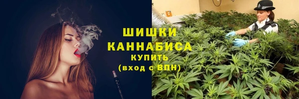 сатива Богданович