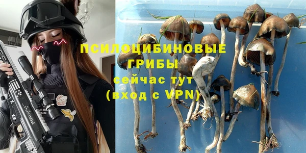 прущая мука Богородск