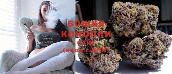 сатива Богданович