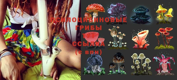 сатива Богданович