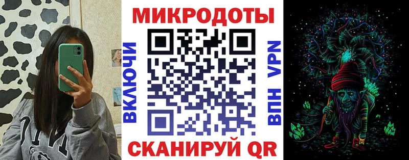 мега как зайти  Гаврилов-Ям  Псилоцибиновые грибы мухоморы  где найти  